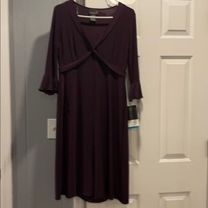 Beautiful Plum Dress